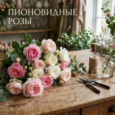 Из пионовидных роз Из пионовидных роз